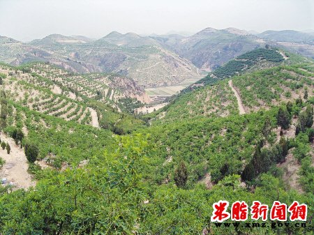 探寻365bet体育电视直播_365国际彩票下载_365流水不足无法提款孟岔模式