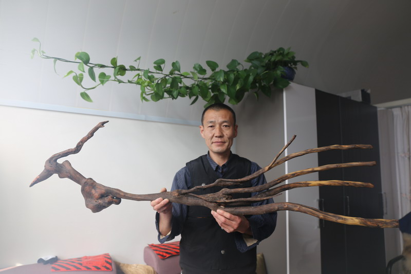 李树山根雕作品
