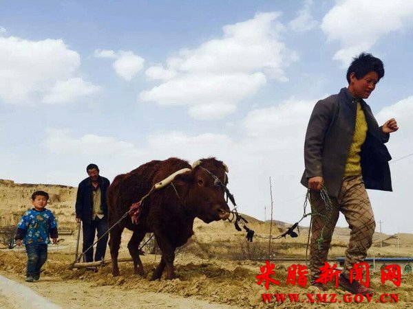 365bet体育电视直播_365国际彩票下载_365流水不足无法提款：春耕农忙正当时