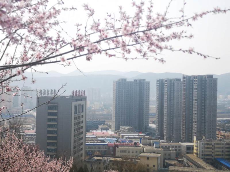 春染翔凤山